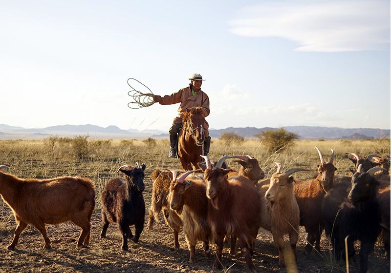 Mongolian horseman